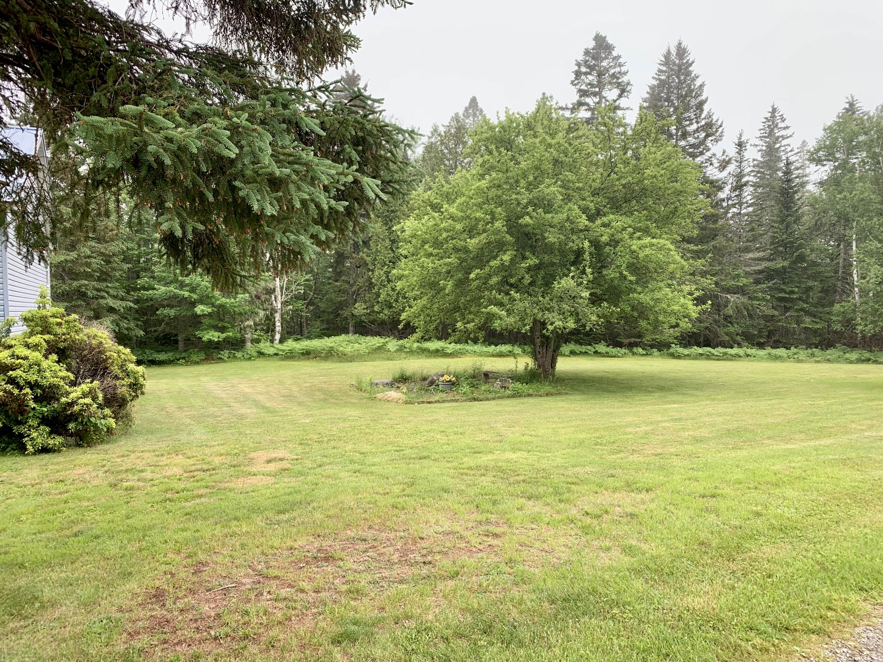 150 Leach Point Road Perry, ME 04667 - Photo 13 of 82 IMG_9011