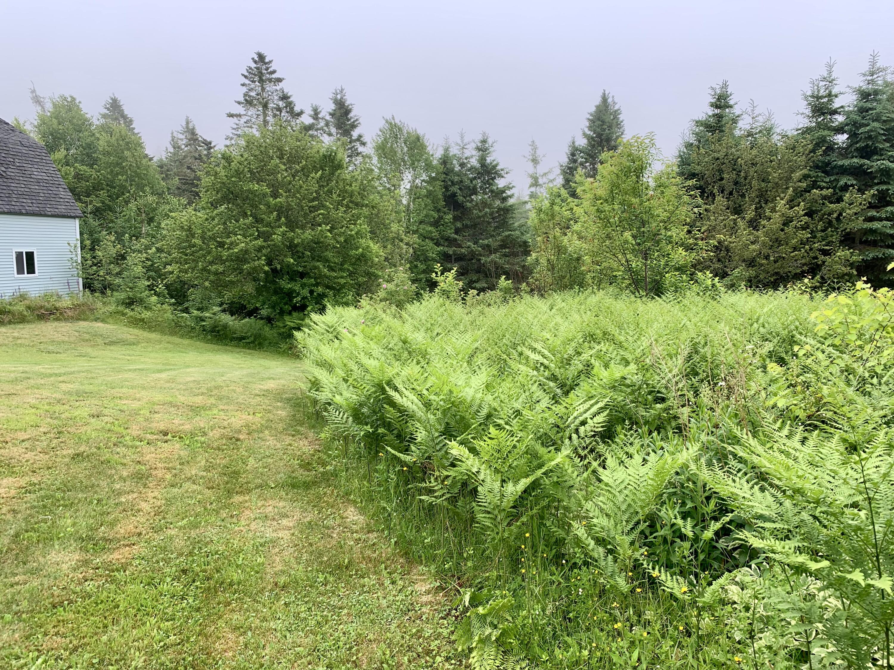 150 Leach Point Road Perry, ME 04667 - Photo 16 of 82 IMG_9020