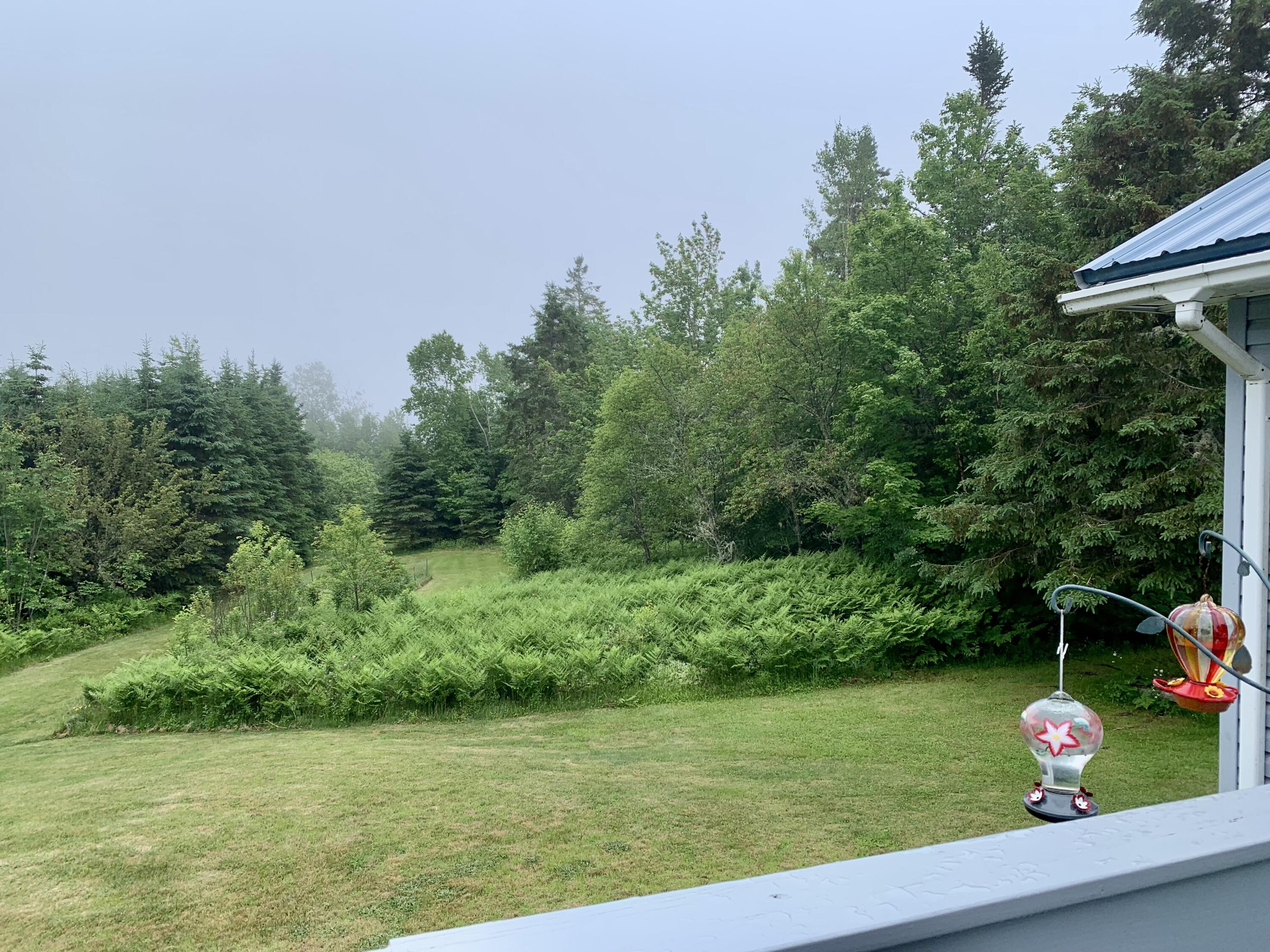 150 Leach Point Road Perry, ME 04667 - Photo 18 of 82 IMG_9045