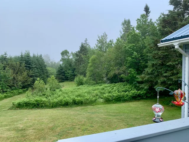 $365,000 | 150 Leach Point Road, Perry, ME 04667