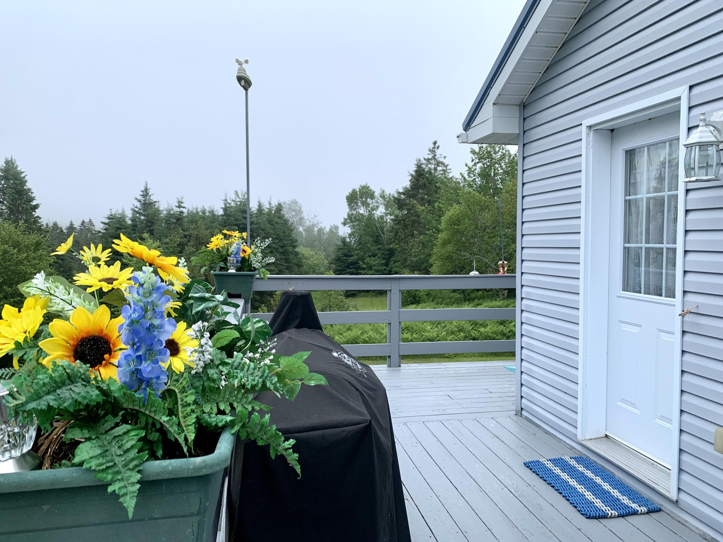 150 Leach Point Road Perry, ME 04667 - Photo 8 of 82 IMG_9042