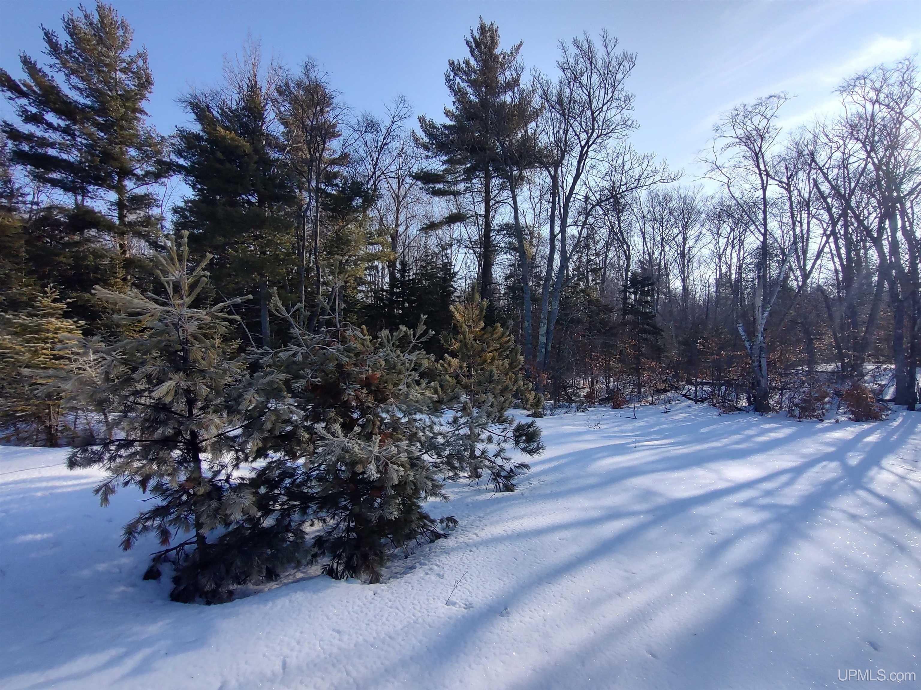 40-acres Gierke Road Manistique, MI 49854 - Photo 11 of 39