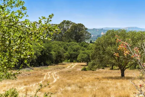 a view of a yard with trees in the background