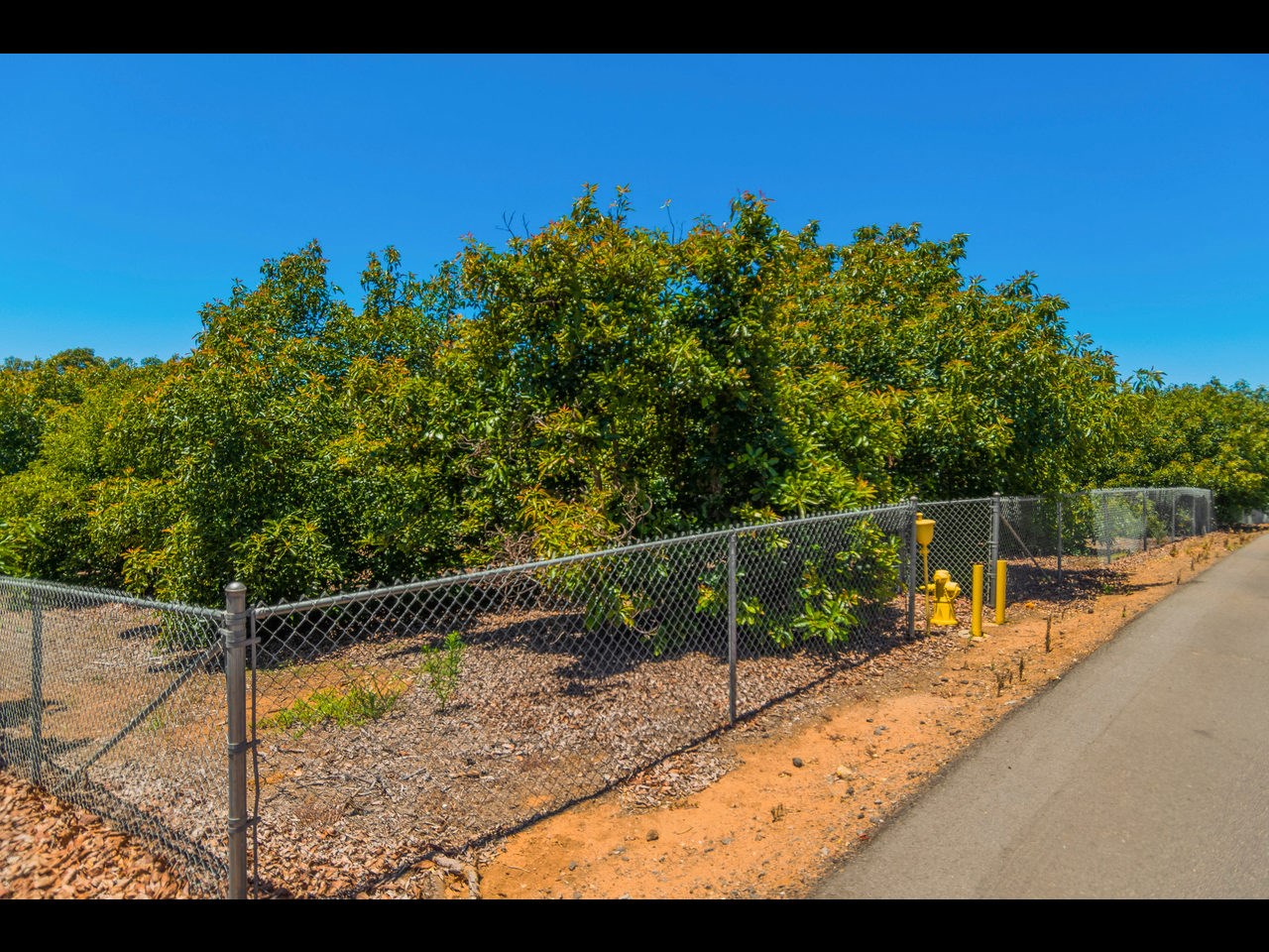 0 Rancho Camino Fallbrook, CA 92028 - Photo 2 of 4
