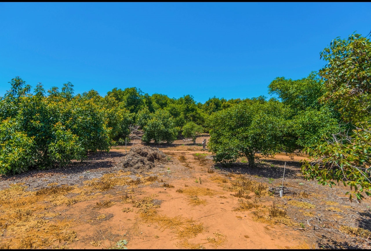 0 Rancho Camino Fallbrook, CA 92028 - Photo 3 of 4