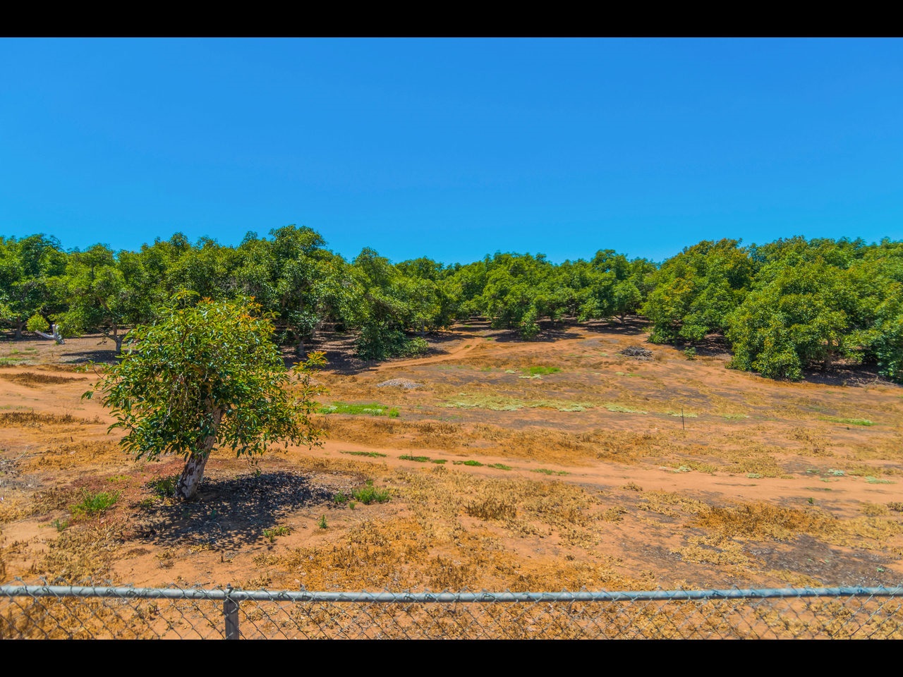 0 Rancho Camino Fallbrook, CA 92028 - Photo 4 of 4