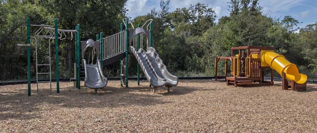 1141 Renaissance Trail Round Rock, TX 78665 - Photo 20 of 23 A well-equipped outdoor play area invites youthful adventure, surrounded by natural landscaping.