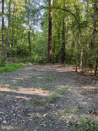 a view of a yard with trees