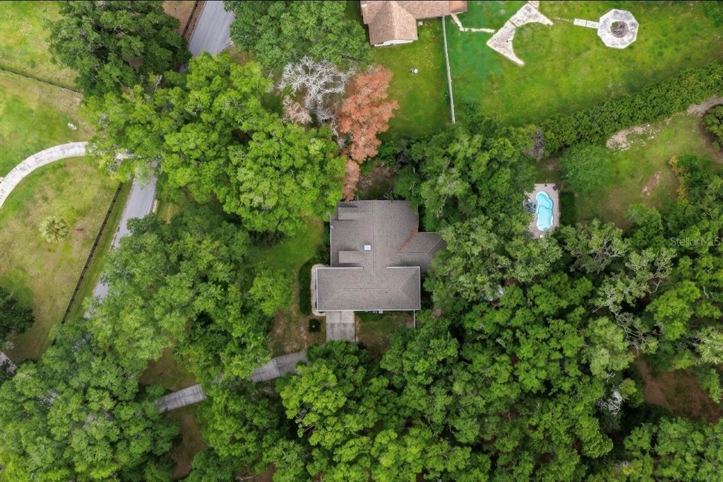 4370 Southeast 26th Terrace Road Ocala, FL 34480 - Photo 7 of 20
