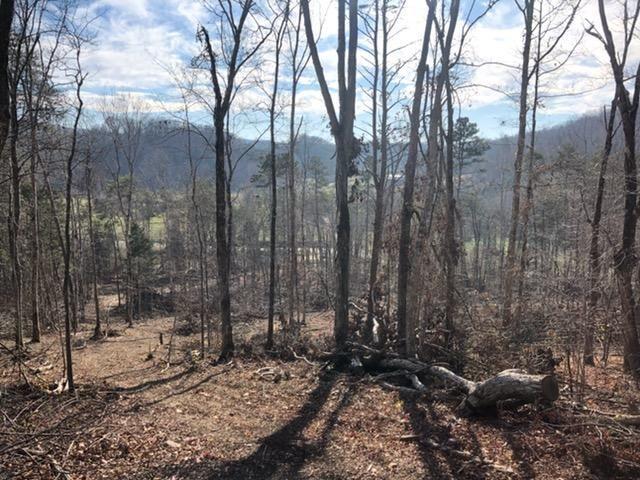 0 Butcher Valley Road Rogersville, TN 37857 - Photo 8 of 24 10