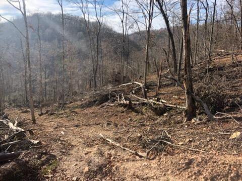 0 Butcher Valley Road Rogersville, TN 37857 - Photo 10 of 24 83