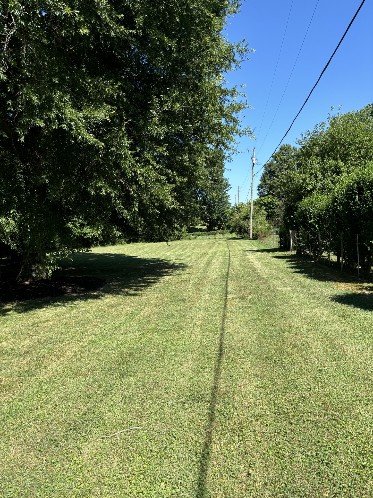 7305 Bethshears Road Fairview, TN 37062 - Photo 36 of 41 a view of yard with trees
