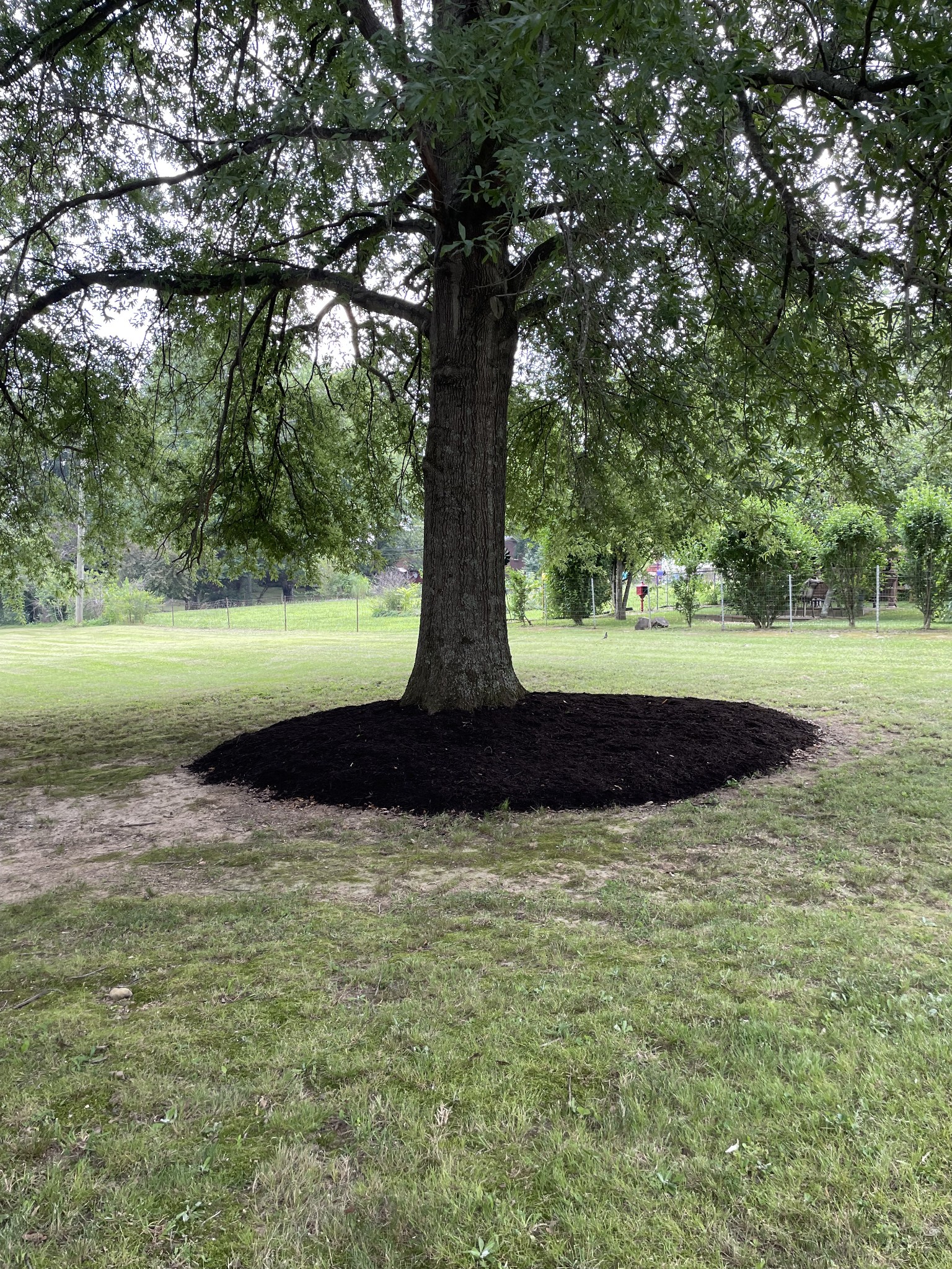 7305 Bethshears Road Fairview, TN 37062 - Photo 40 of 41