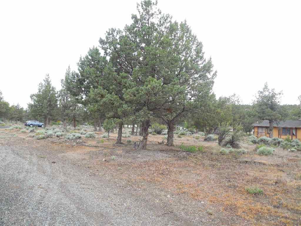 8-2 Unt Road Weed, CA 96094 - Photo 8 of 17 Gallery Image 8