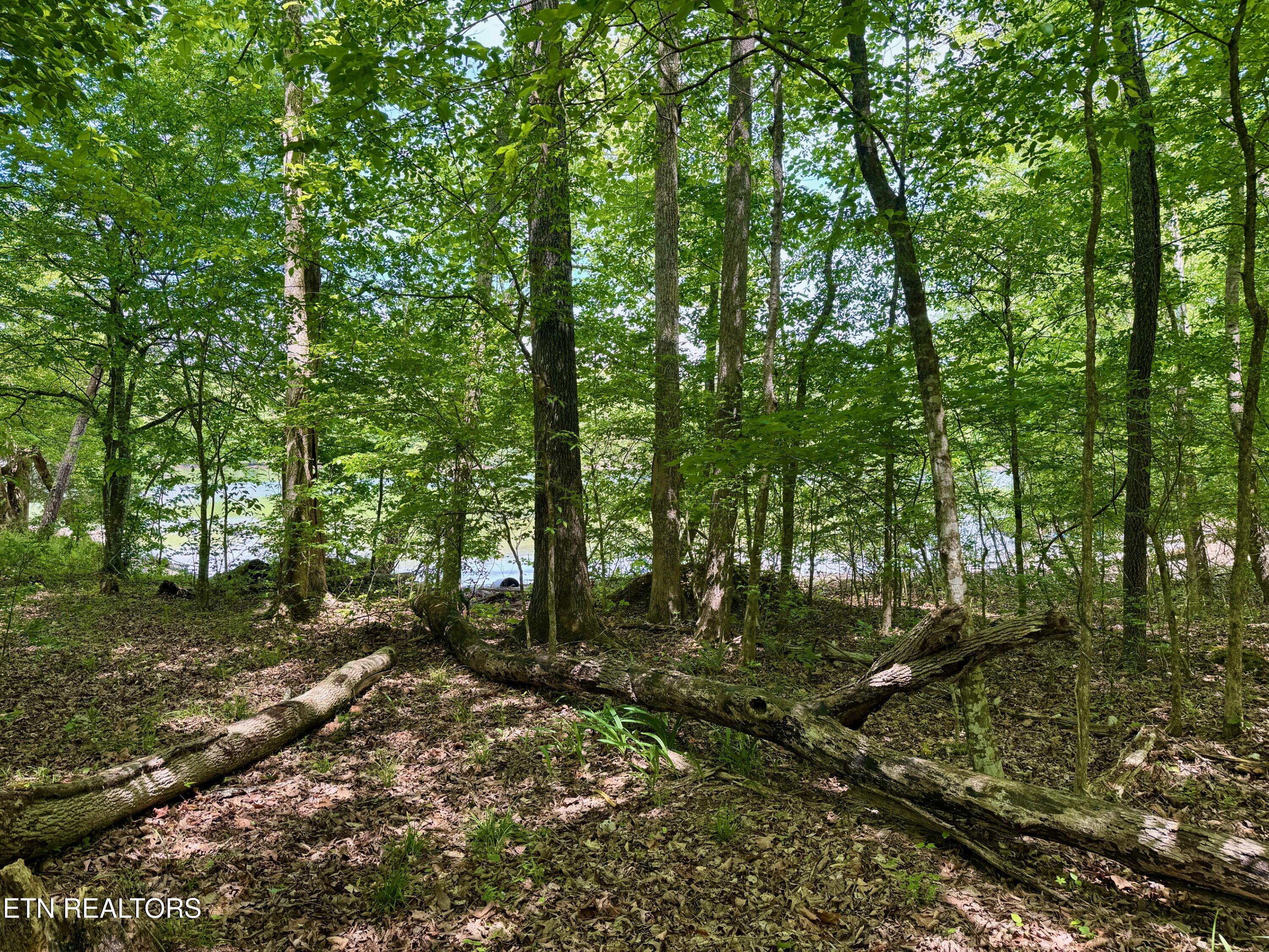 2 Eagle Ridge Road Kingston, TN 37763 - Photo 1 of 10 001