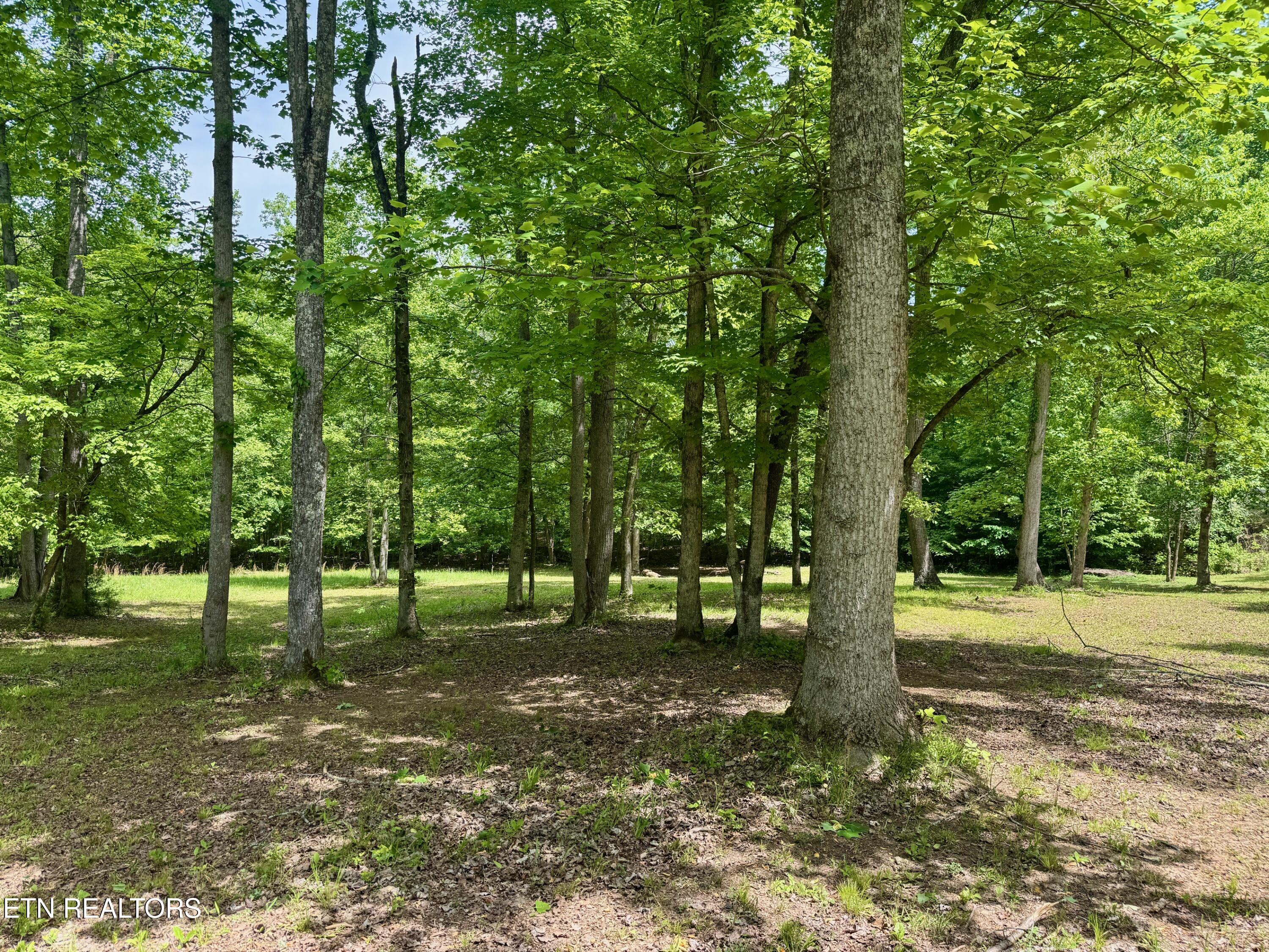 2 Eagle Ridge Road Kingston, TN 37763 - Photo 6 of 10 006