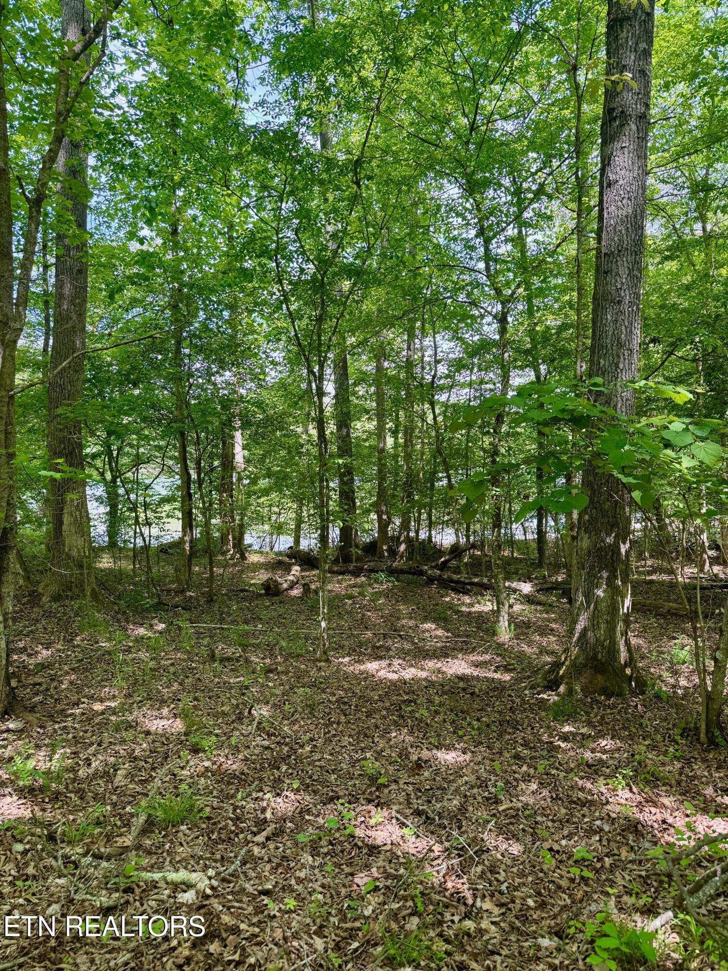2 Eagle Ridge Road Kingston, TN 37763 - Photo 7 of 10 007
