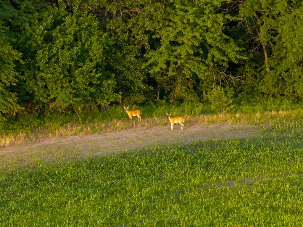 Northeast Marshall Road Hamilton, MO 64644 - Photo 43 of 45