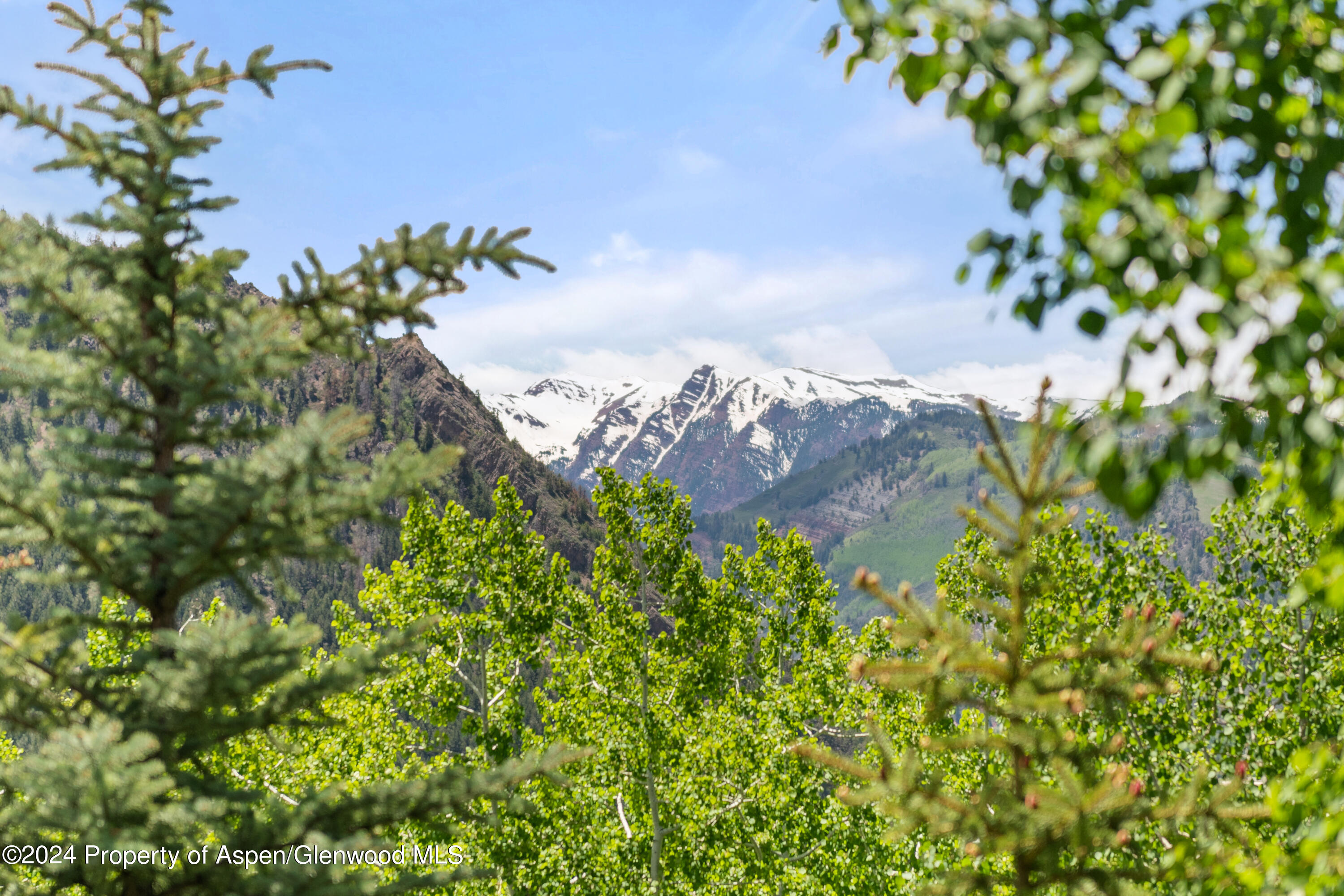 705 Spruce Street Aspen, CO 81611 - Photo 41 of 44 a view of a flower