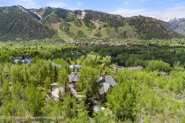 a view of a lush green forest with trees in the background