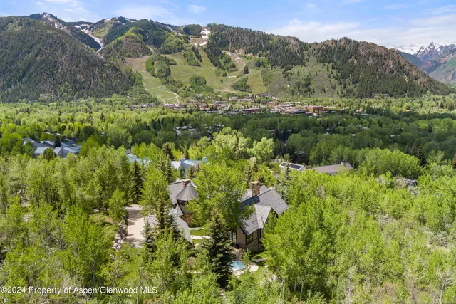 a view of a lush green forest with trees in the background