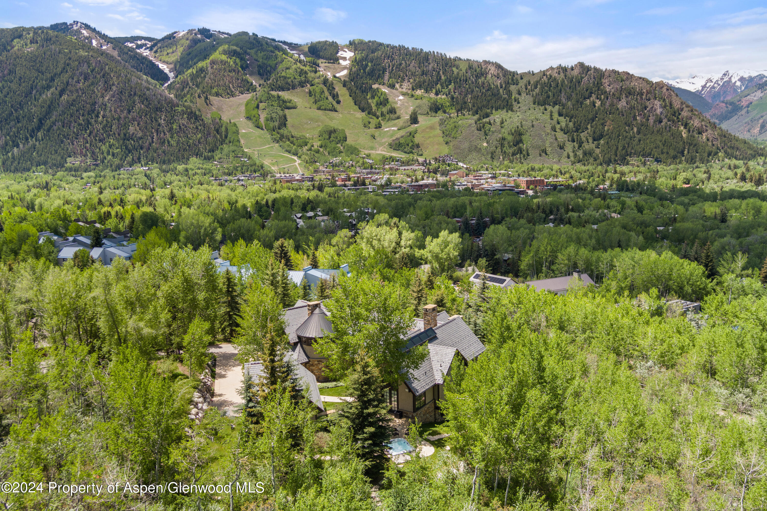 705 Spruce Street Aspen, CO 81611 - Photo 43 of 44 a view of a lush green forest with trees in the background