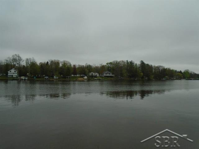 Vl Oakridge Road Beaverton, MI 48612 - Photo 4 of 7