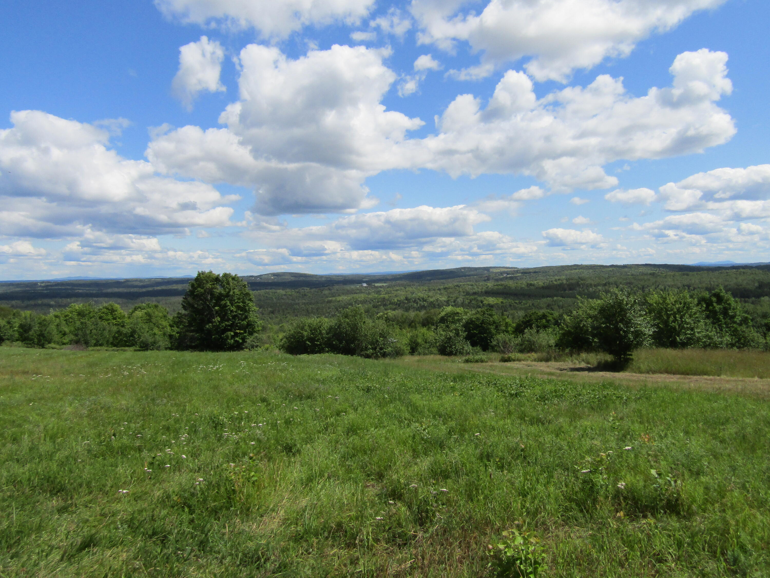 9999 West Road New Sweden, ME 04762 - Photo 10 of 10 IMG_0263