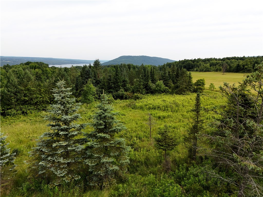 O O Grove Hammondsport, NY 14840 - Photo 4 of 13