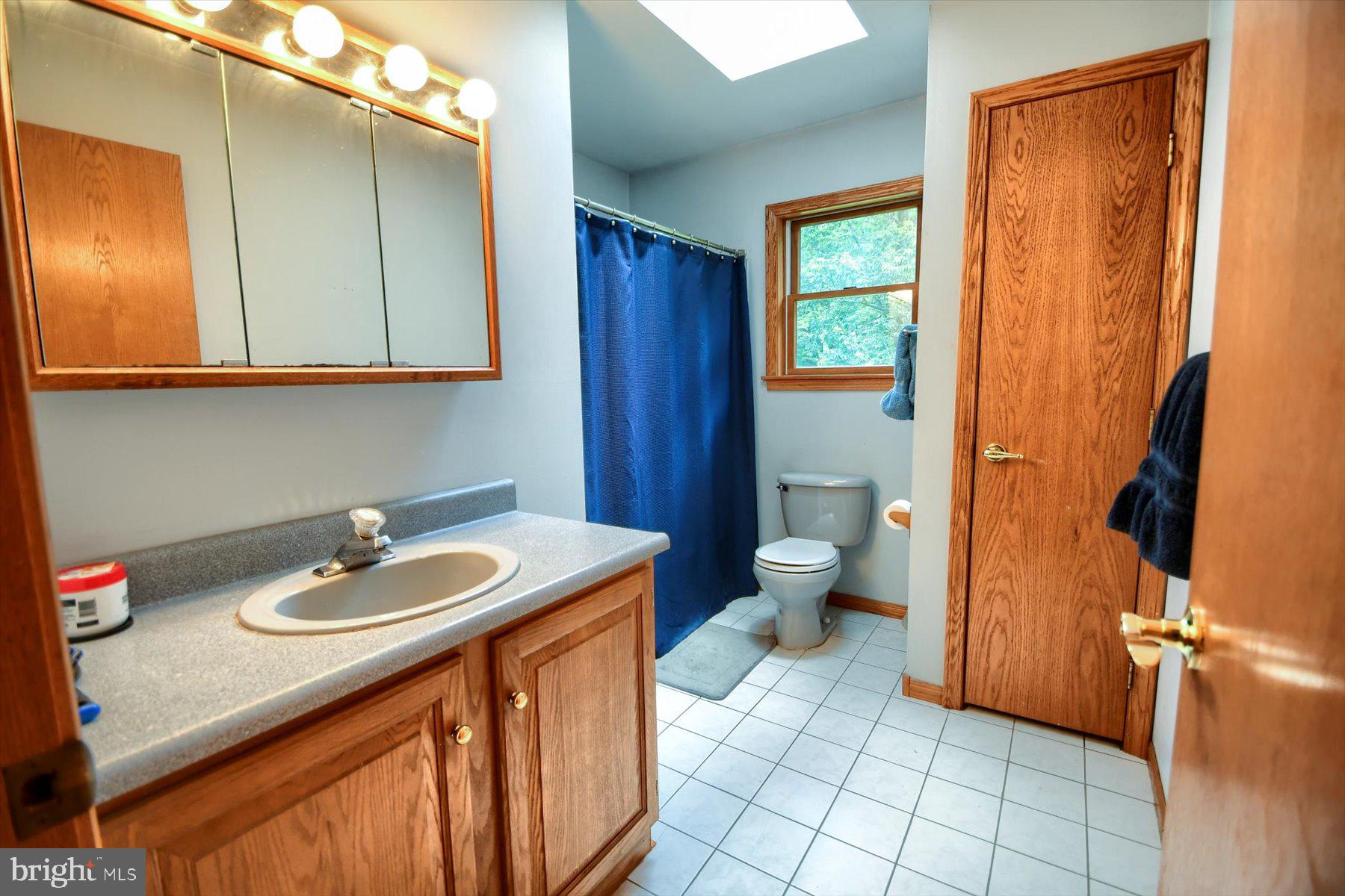 3700 Lehnenberg Road Riegelsville, PA 18077 - Photo 19 of 48 a bathroom with a sink a toilet and a mirror