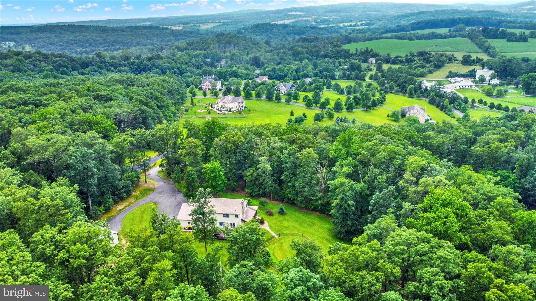 3700 Lehnenberg Road Riegelsville, PA 18077 - Photo 5 of 48 a view of a lush green forest with lots of trees
