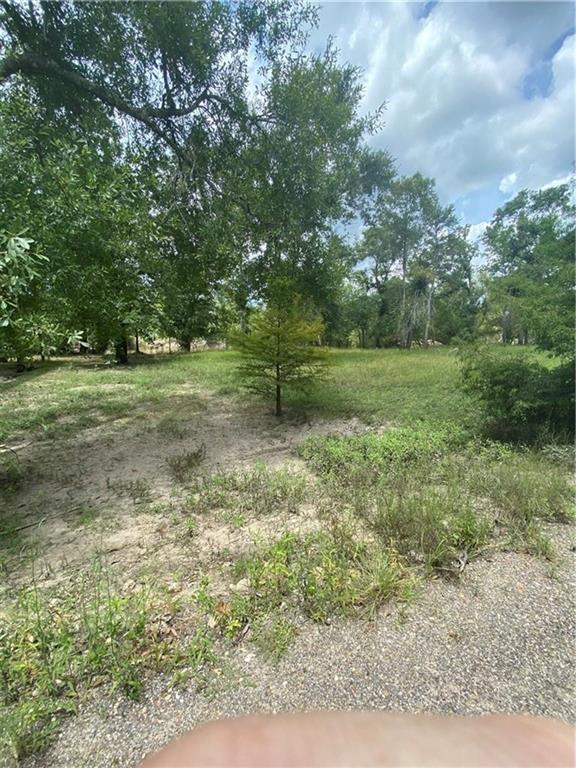 0 Old Ferry Road Hayes, LA 70646 - Photo 2 of 7