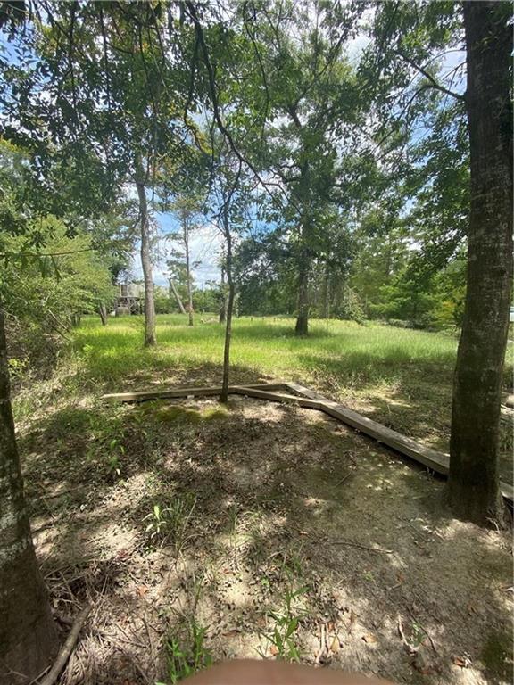 0 Old Ferry Road Hayes, LA 70646 - Photo 3 of 7