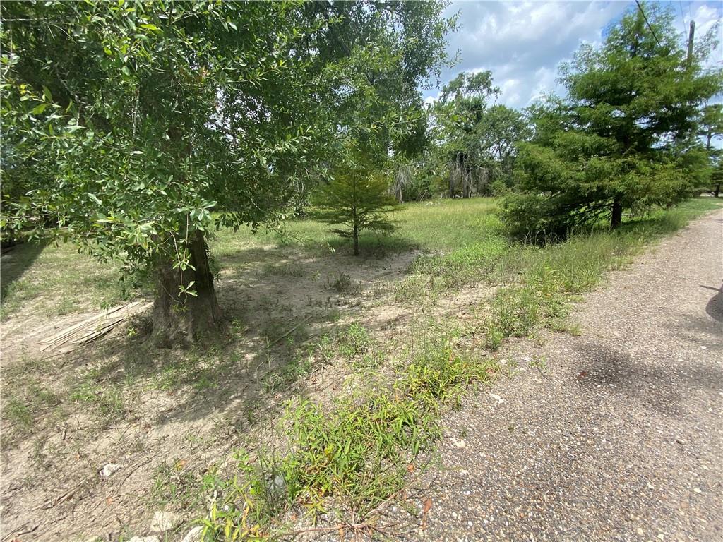 0 Old Ferry Road Hayes, LA 70646 - Photo 4 of 7