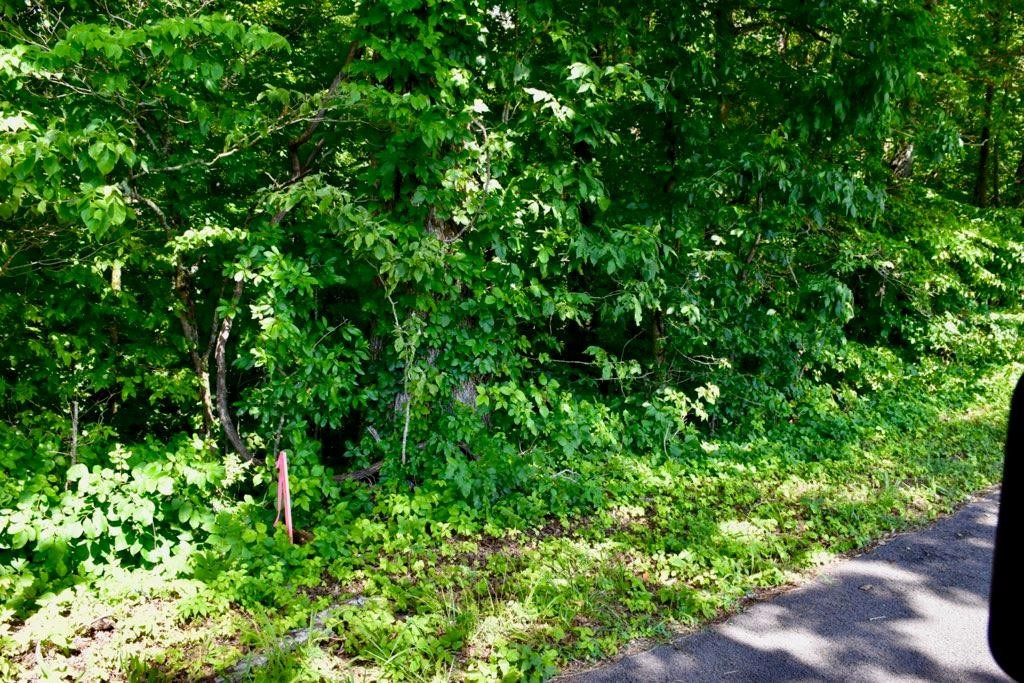 3 Sims Road Sevierville, TN 37876 - Photo 2 of 9 Gallery Image 2