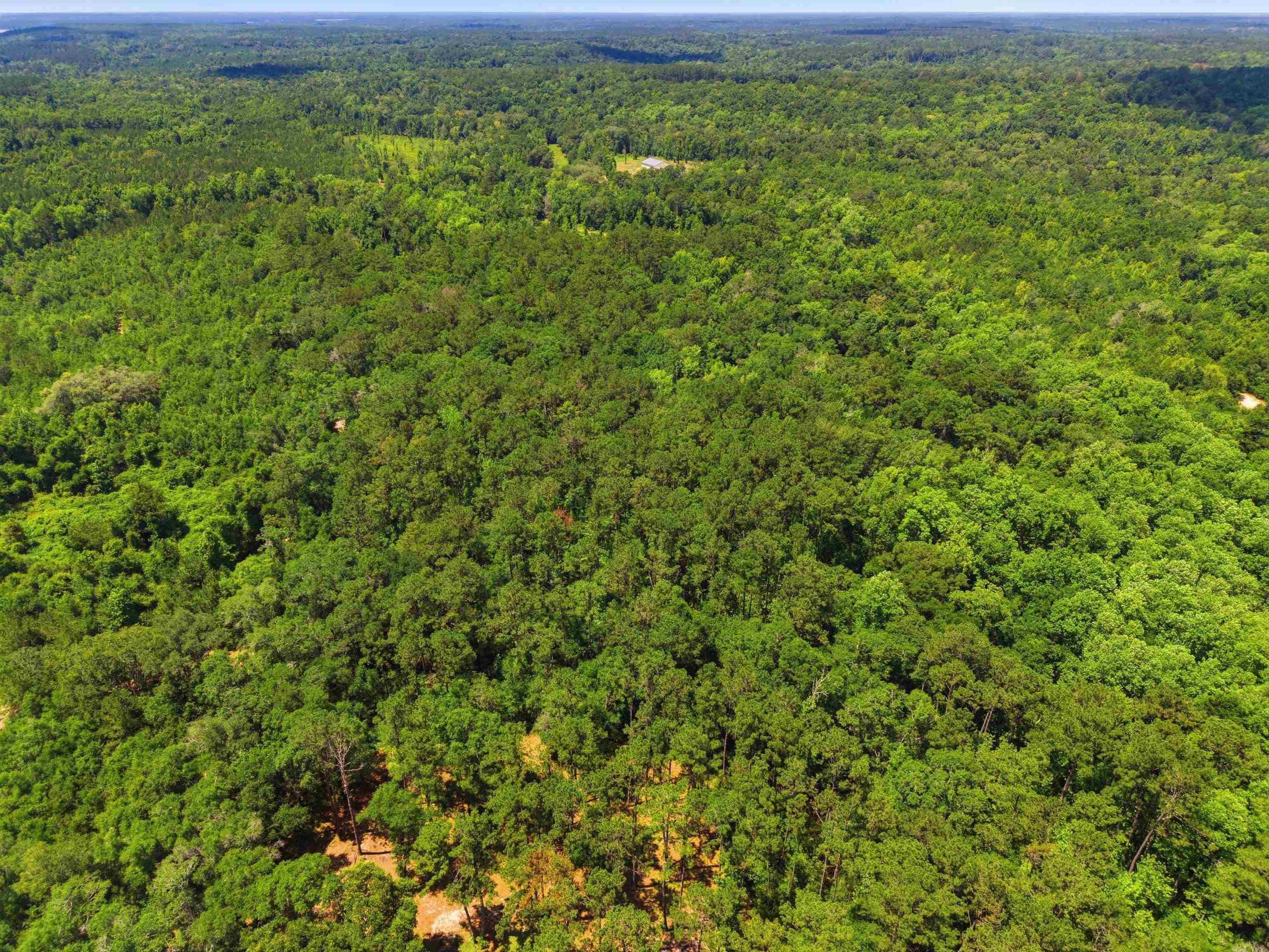 High Bridge Road Quincy, FL 32351 - Photo 17 of 20