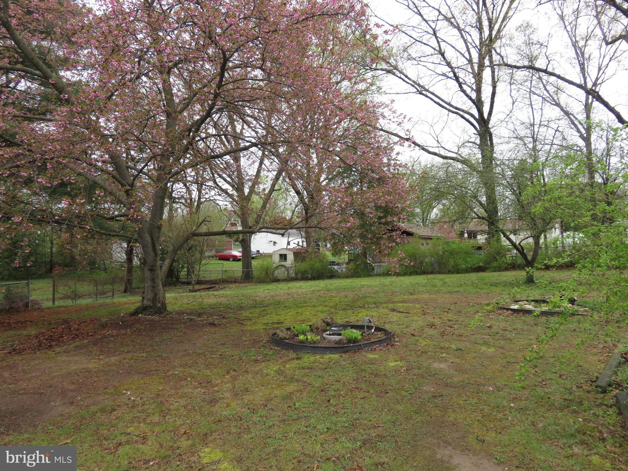 1031 Ficklen Road Fredericksburg, VA 22405 - Photo 23 of 26 Exterior (Rear)