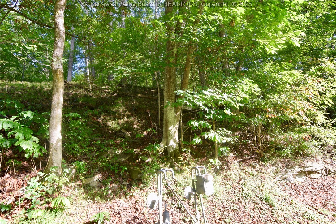 28 Watts Chapel Road Kenna, WV 25248 - Photo 3 of 5 Gallery Image 3
