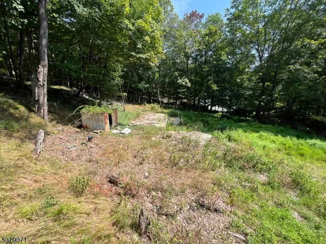 a view of backyard with green space