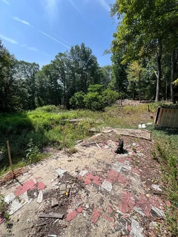 a view of a backyard with a tree