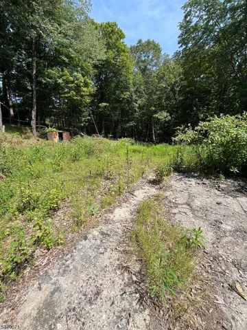a view of backyard with green space