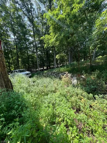 a view of outdoor space and a yard