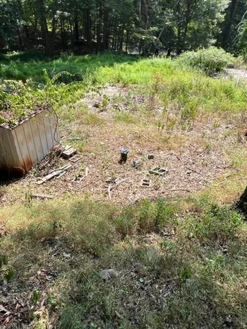 a view of a yard with plants and large trees