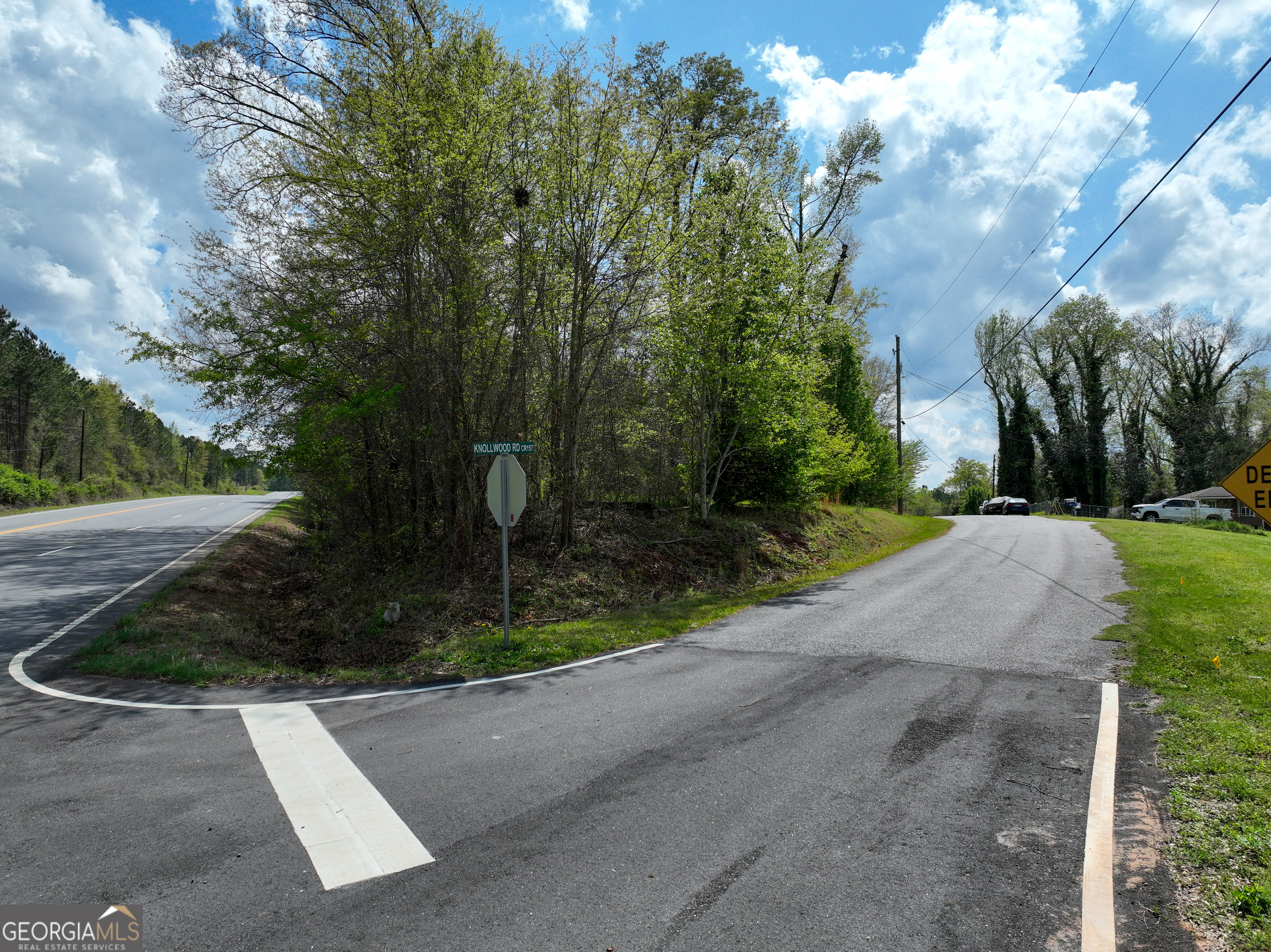 0 Us Highway, Unit LOT #1 Dry Branch, GA 31020 - Photo 2 of 7