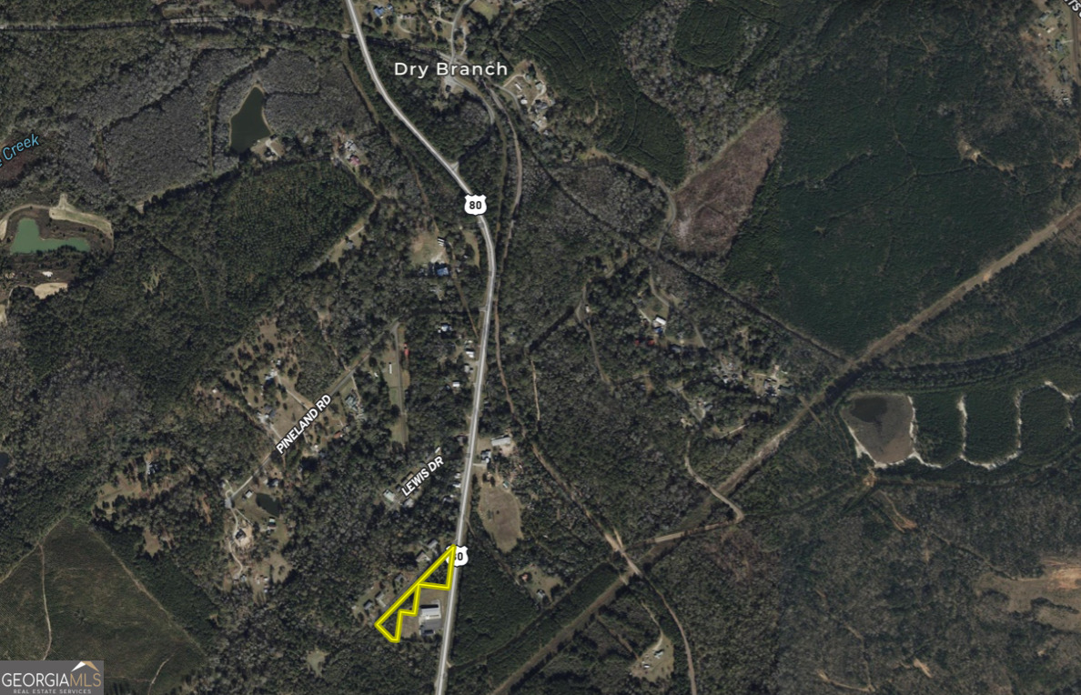 0 Us Highway, Unit LOT #1 Dry Branch, GA 31020 - Photo 7 of 7