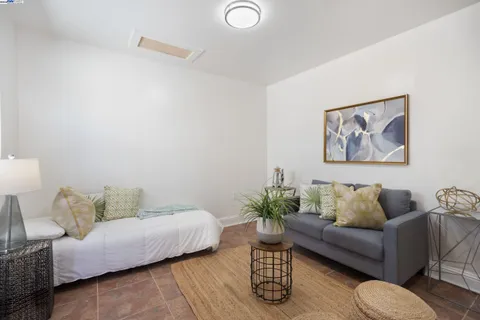 a living room with furniture and a potted plant