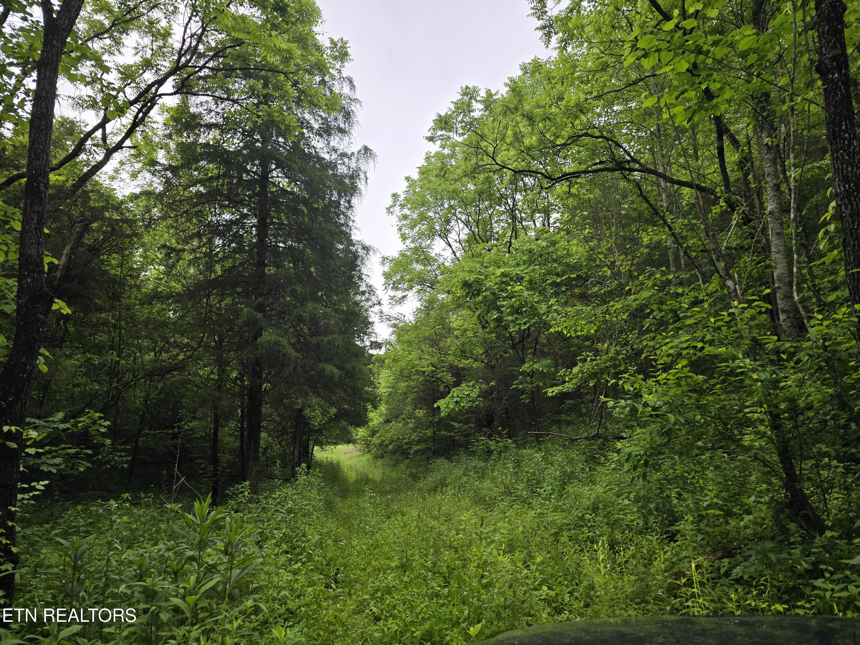 2615 Stoney Fork Road Sneedville, TN 37869 - Photo 53 of 60 20260525_193919