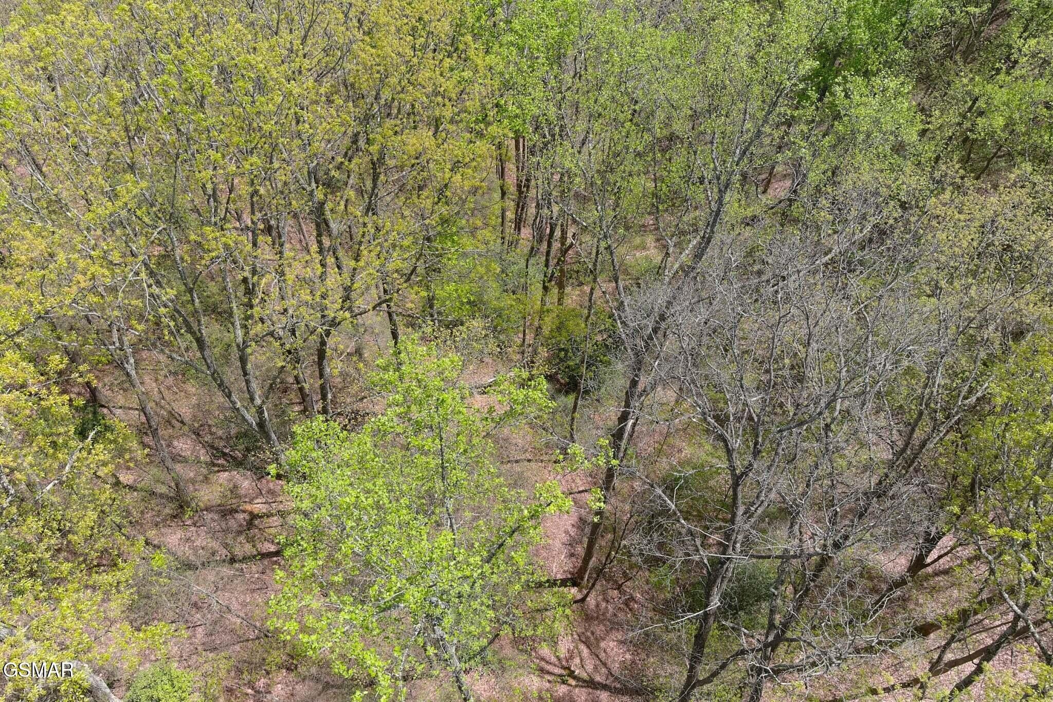 4246 Birds Creek Road Sevierville, TN 37876 - Photo 23 of 36 Gallery Image 23