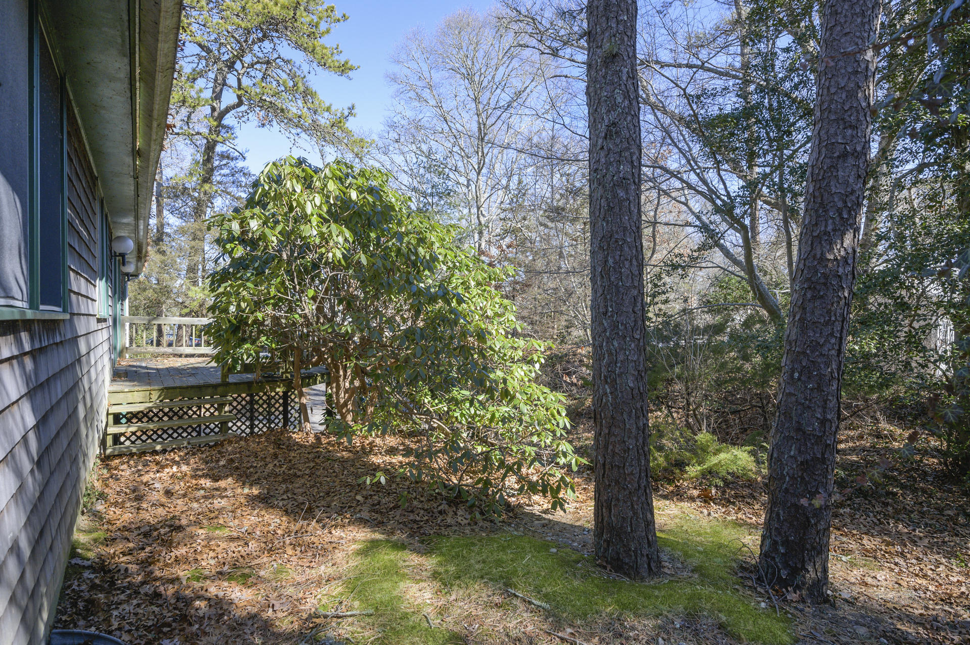 307 Holly Point Road Centerville, MA 02632 - Photo 26 of 30 025-photo-rear-view-9003848
