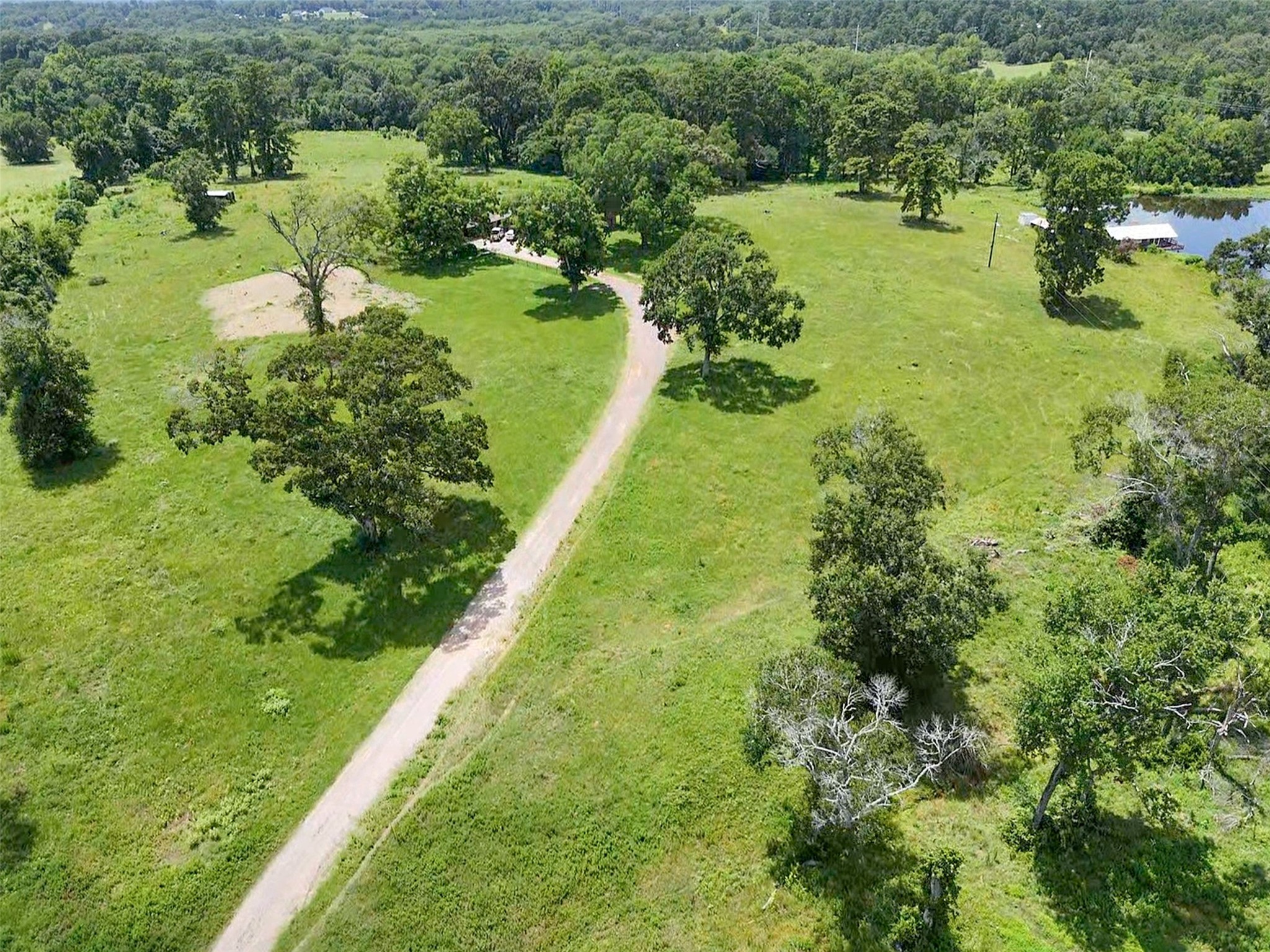 6605 Spring Branch Road Montgomery, TX 77316 - Photo 2 of 12 Gently winding through wide-open fields and shady oaks, the private drive offers tranquil views of nature and hints at the serenity this property provides.